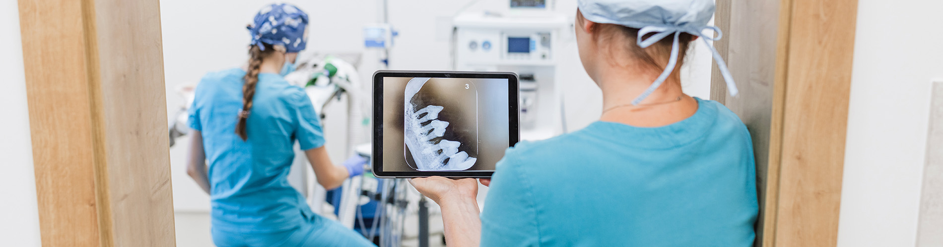 A person is seated in a dental chair, receiving care from a dental professional who stands behind them.